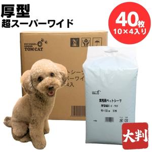 TOM CAT（トムキャット） 8面サークル DTC48 高さ122cm : トムキャット