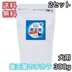 あいこな アイコナ 犬用 サプリメント aikona HUGME 60g 腸活 : これが