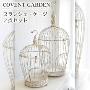 ラスティ パイン ガラスケースL 木製 コレクション ボックス