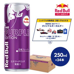 レッドブル（RedBull） 公式 エナジードリンク 250ml×24本(24本×1