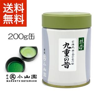 抹茶 宇治 丸久小山園 若竹 500g 袋詰（わかたけ） 製菓 緑茶 粉末