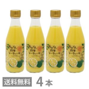 青切り シークヮーサー100（500ml）【6本セット】シークワーサー 100