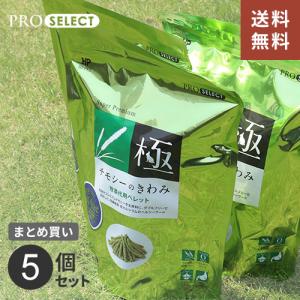 うさぎ 牧草 チモシー ハイペット チモシーのきわみ まとめ買い 400g 5