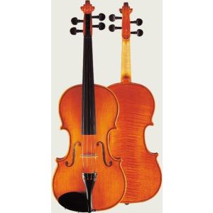 Roderich Paesold PA802J ローデリヒ・ペゾルト 4/4 Violin ドイツ製