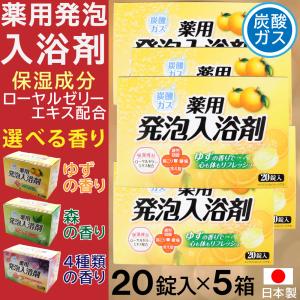 ライオンケミカル 入浴剤 プレゼント ギフト 炭酸ガス 薬用発泡入浴剤