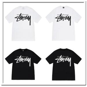 STUSSY（ステューシー） STUSSY STUSSY SKATE POSSE PIGMENT DYED T