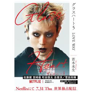 週末セール！文庫版「グラスハート」全6巻セット 小冊子付き特製両面