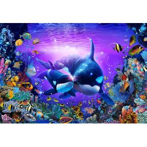 クリスチャン リース ラッセン オルカ イヴ Amazon.co.jp: 500ピース