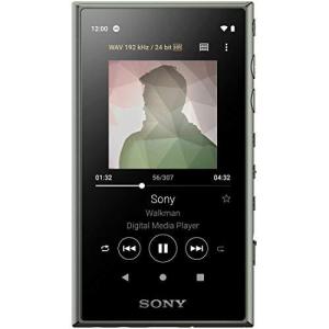 ソニー SONY ウォークマン 32GB Aシリーズ NW-A106 : ハイレゾ対応