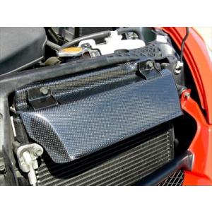 DーSPORT D-SPORT(Dスポーツ) ラジエタークーリングパネル 【コペン