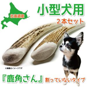 鹿の角 小型 犬 用 鹿角さん 半割り 2本セット 天然 無添加 北海道産