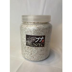 神長きのこ園 S8カンタケ ブロック : ちいさなクワガタ屋 - 通販