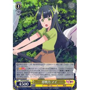 ヴァイスシュヴァルツ 痛いのは嫌なので防御力に極振りしたいと思い