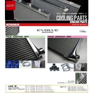 HPI ラジエターEVOLVE STD マークII / クレスタ チェイサー JZX100 96