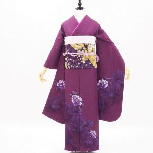 正絹振袖+半衿付き長襦袢+帯+帯揚+帯〆+重衿 6点セット 照り映える紅葉