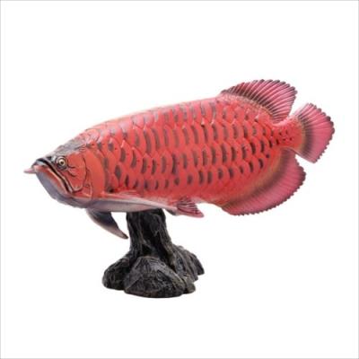 アジアアロワナ フィギュア ソフトモデルフィギュア 紅龍 古代魚