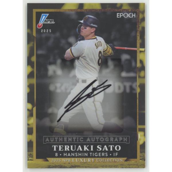 coletre_kpl171717019