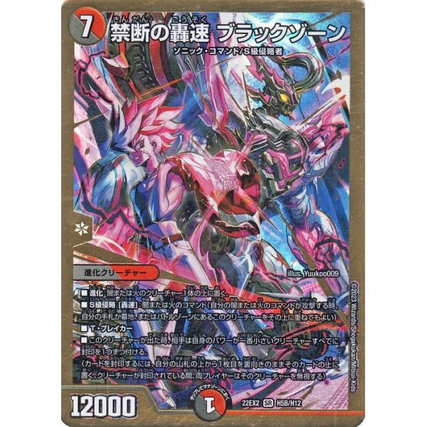 禁断の轟速 ブラックゾーン 金 ヒーローレア デュエルマスターズ