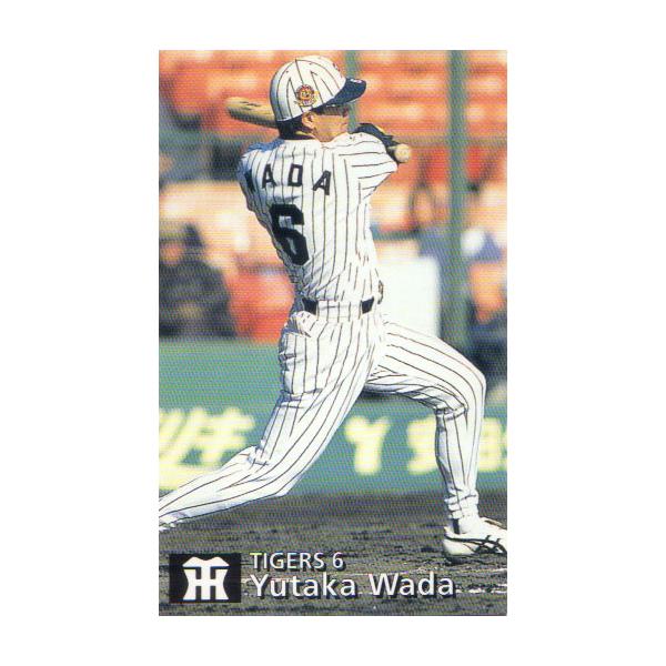 16カルビースターカード ゴールドサイン版49枚セット