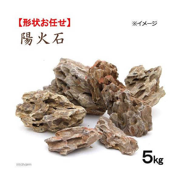 水槽レイアウトにおすすめの石17種類の名前と水質変化表