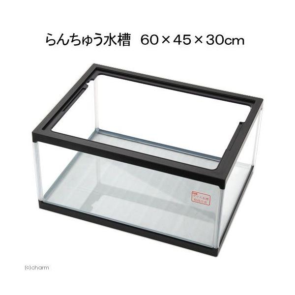 水槽 60×45」の人気商品一覧 | 安い商品を通販サイトから探す - 価格.com