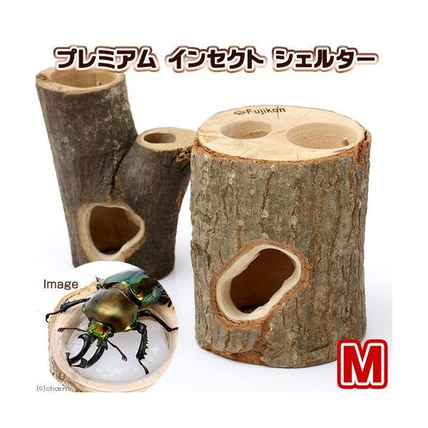 フジコン プレミアム インセクトシェルター M 昆虫 カブトムシ