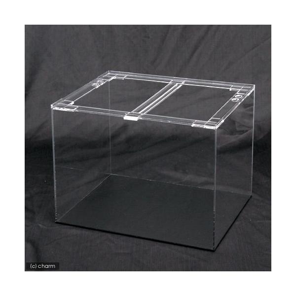 フランンジ仕様 白底 特注 角補強 アクリル水槽 60センチ 蓋付き