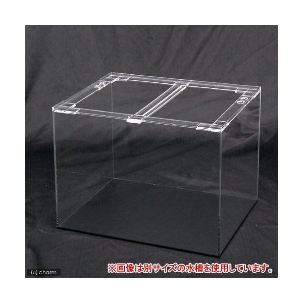 水槽 120 引き取り限定