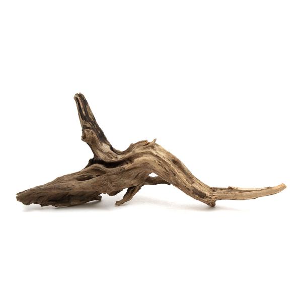 チャーム（charm） 形状お任せ 煮込み済み ディアーホーンウッド L