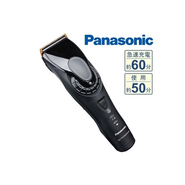 atbijin_pana-ergp82k