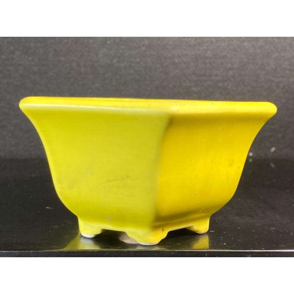 祥石六角白盆栽鉢