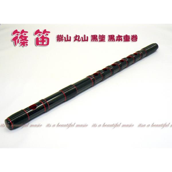 beautiful-music_10001557