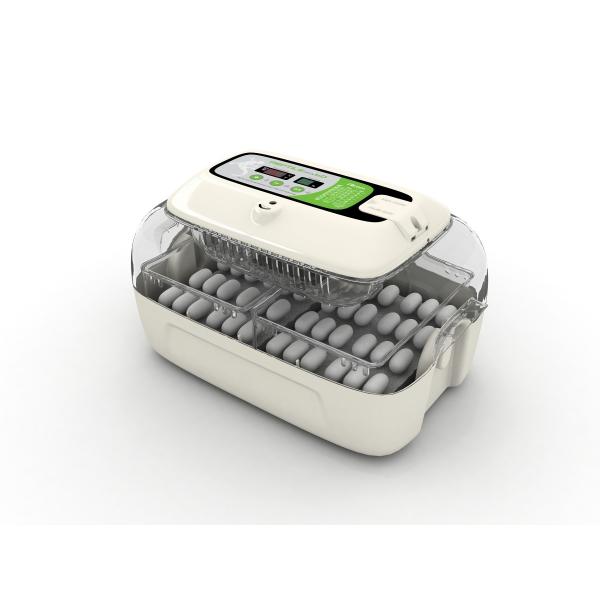 belbird_furannki-jyurarx