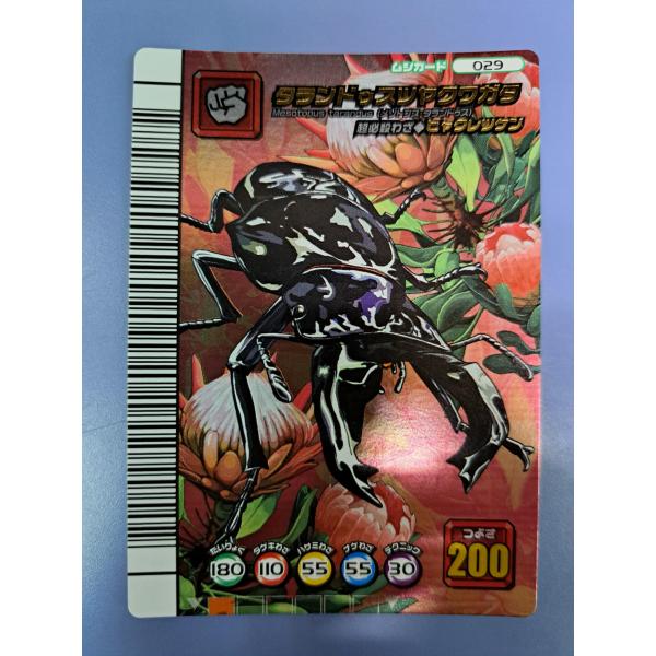 レア ムシキング タランドゥスツヤクワガタ セット売り レア