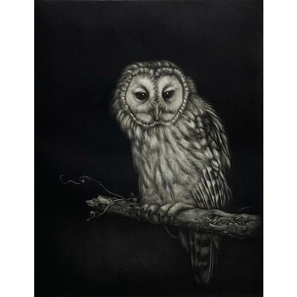 galleryshin_kojiikuta-2001-musoya