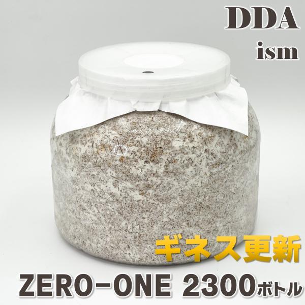 極上！ヒマラヤひらたけ菌糸ブロック【4個】初菌のみ使用！国産