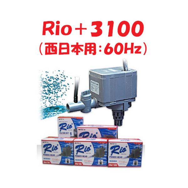カミハタ Rio+3100 水中ポンプ (西日本用:60Hz) リオプラス