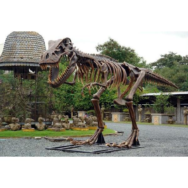 全長8m超！スケルトンT-REX（ティラノサウルス骨格） 超巨大造形物