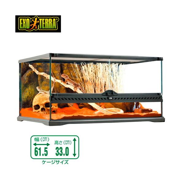 GEX（ジェックス） (爬虫類 用品)GEX グラステラリウム 6030 爬虫類