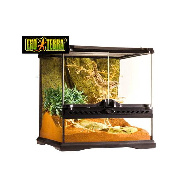 GEX（ジェックス） (爬虫類 用品)GEX グラステラリウム 3030 爬虫類