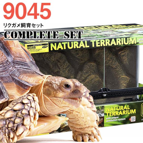 GEX（ジェックス） 【水槽セット】9045 リクガメ飼育セット