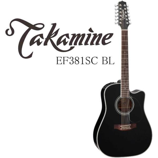 アコースティックギター タカミネ 12弦 エレアコ」の人気商品一覧