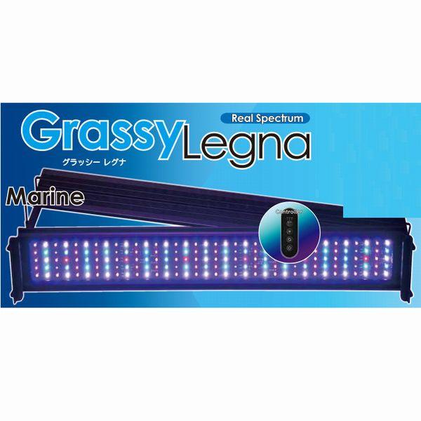 ボルクス グラッシーレグナマリン 60 GrassyLegna Marine60 60cm海水