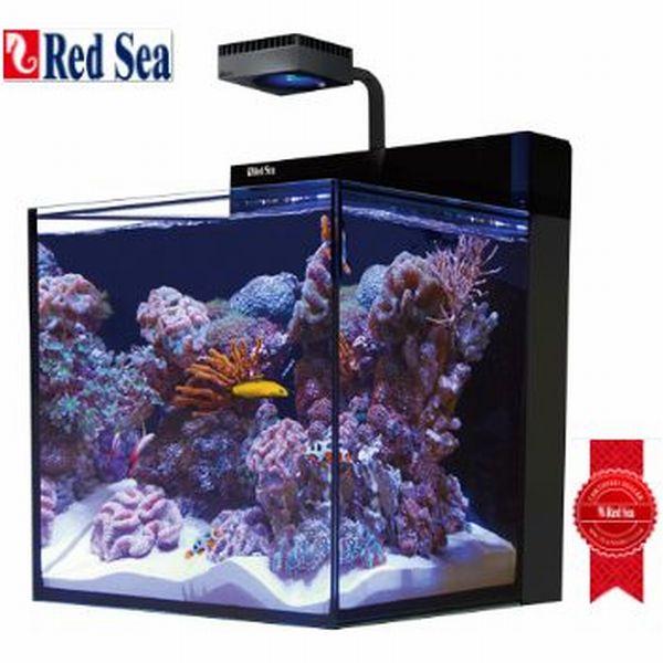 レッドシー Redsea MAXNANO CUBE 60Hz レッドシーマックスナノキューブ