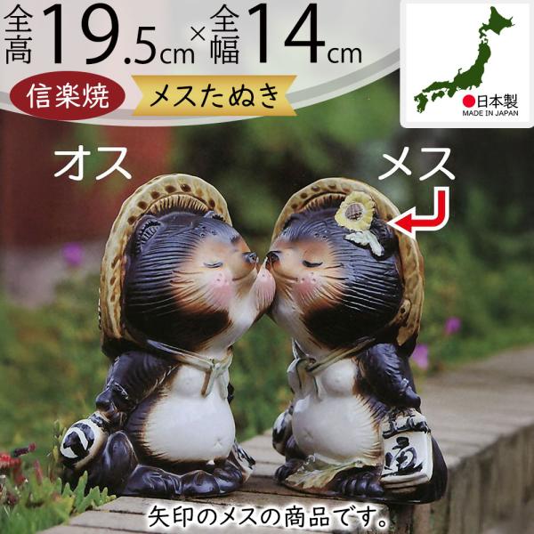 ◇信楽焼 狸さん 高さ約30㎝ ◇笠・嚢・藁草履を下げた珍しい狸 置物