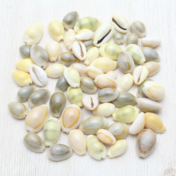 貝殻 タカラガイ（宝貝）ミックス 素材 50g : 海洋工房 - 通販 - Yahoo
