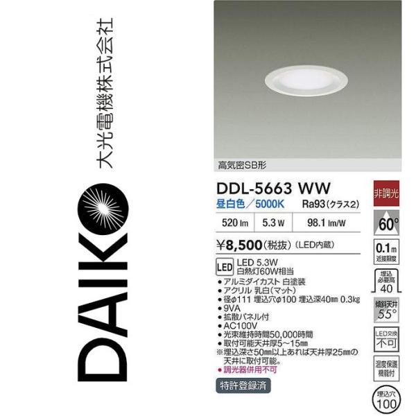 美品】大光電機 ダウンライト DDL-5003 YWG 6個セット 大光電機