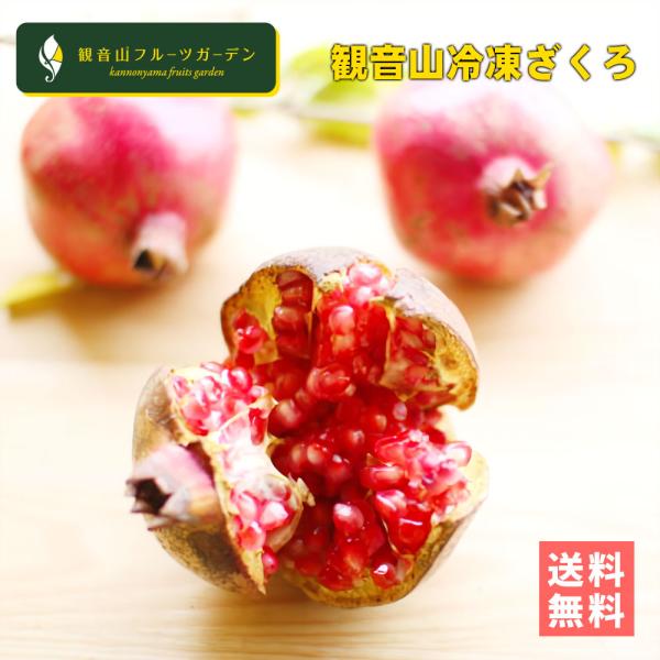 冷凍ざくろ C級品 大変希少な国産ザクロ 1kg 和歌山 観音山フルーツ