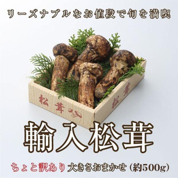松茸 北海道 500g 訳あり 送料込 国産 ④ 松茸 北海道 訳あり 500g