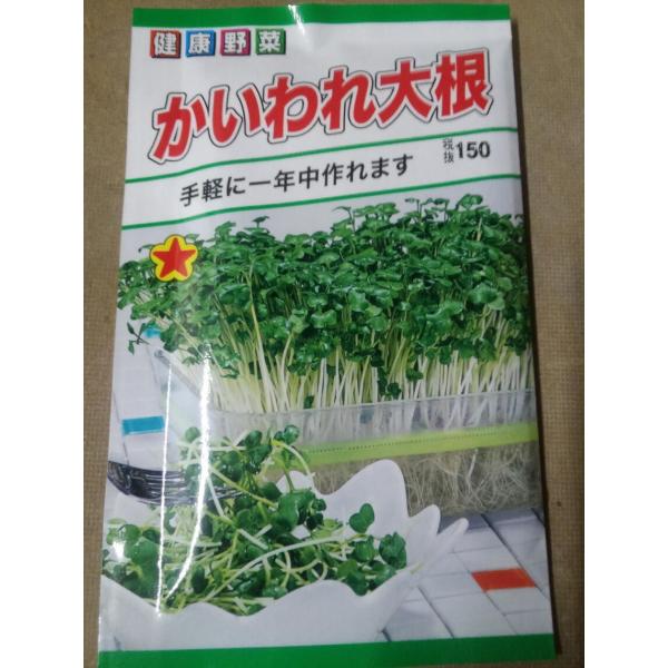 野菜の種 カイワレ大根 スプラウト 健康野菜 かいわれ大根 2袋まで